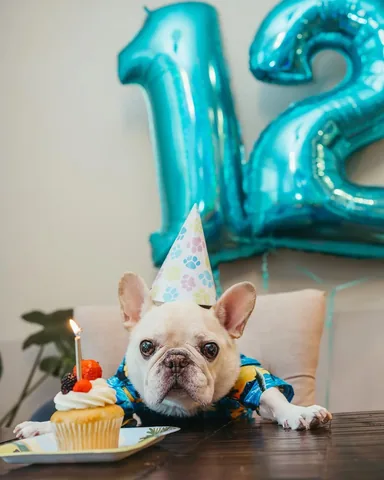 barkleysircharles Instagram post about Barkley’s twelfth birthday