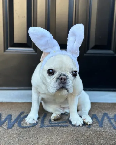 barkleysircharles Instagram post about Easter greeting