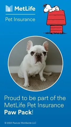 barkleysircharles Instagram post about MetLife Pet Insurance