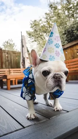 barkleysircharles Instagram post about Barkley memorial birthday