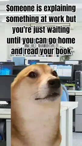 beccaellenbooks Instagram post about Reading and work life interruption