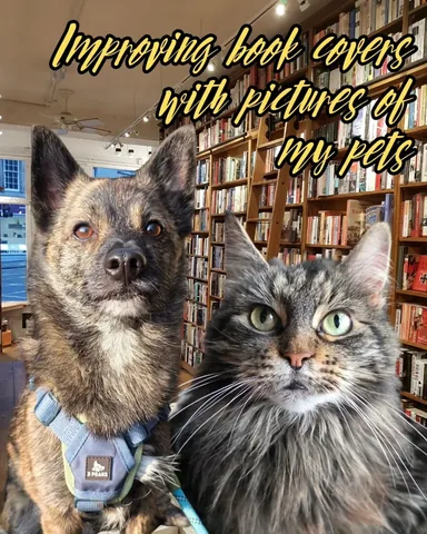 beccaellenbooks Instagram post about Cat themed books