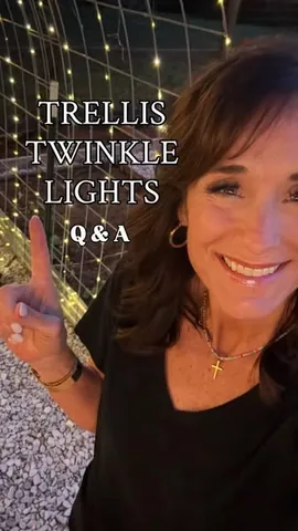 beneathmyheart Instagram post about Garden lighting