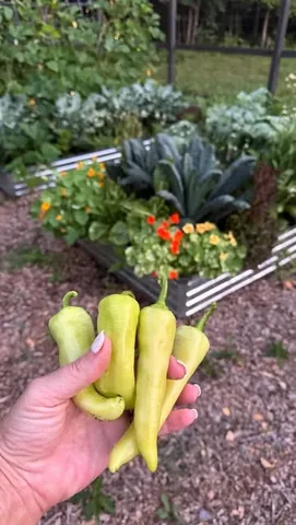 beneathmyheart Instagram post about Garden planning