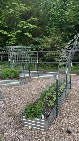 beneathmyheart Instagram post about Garden trellises