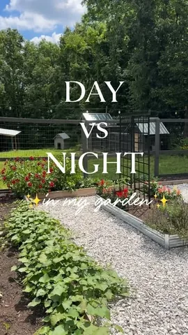 beneathmyheart Instagram post about Garden ambiance