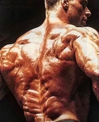 berrydemey Instagram post about Bodybuilding