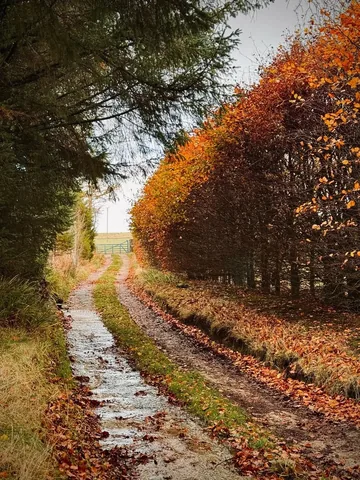 bigturtlesmallowl Instagram post about Nature photography