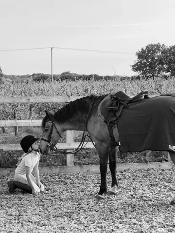 billieshepherdofficial Instagram post about Family and horses