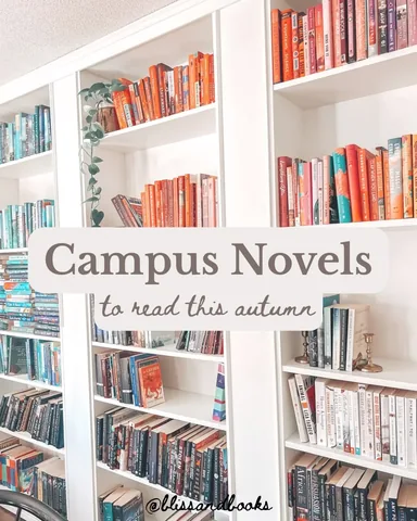 blissandbooks Instagram post about Campus novels