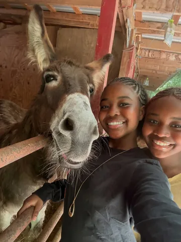 bliss.blythe Instagram post about Horse encounter