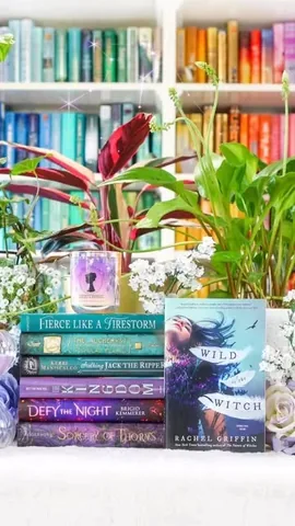 bookbookowl Instagram post about Wild Is the Witch