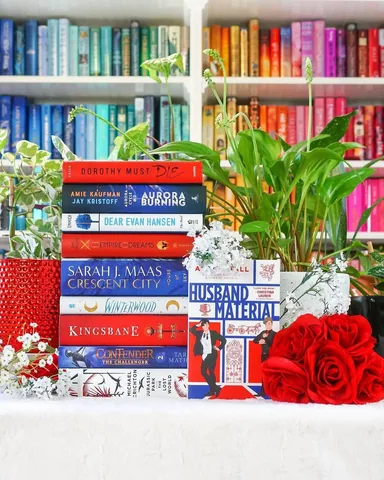 bookbookowl Instagram post about Husband Material