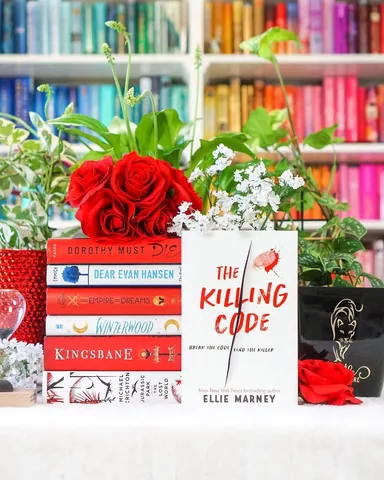 bookbookowl Instagram post about The Killing Code review