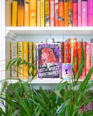 bookbookowl Instagram post about A Semi Definitive List of Worst Nightmares