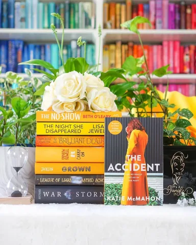 bookbookowl Instagram post about The Accident review