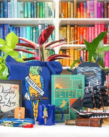 bookbookowl Instagram post about Books Ahoy merchandise