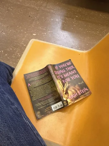 bookishmadeleine Instagram post about Book review