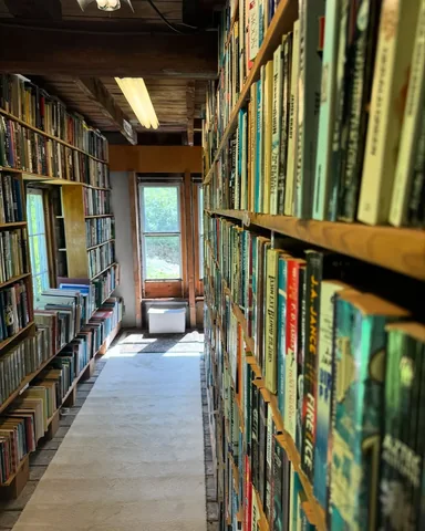 bookishmadeleine Instagram post about Independent bookstores