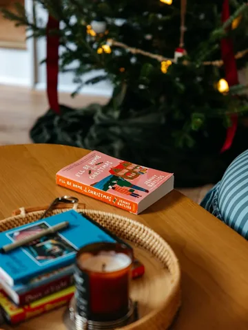 booklanguage Instagram post about Holiday book review