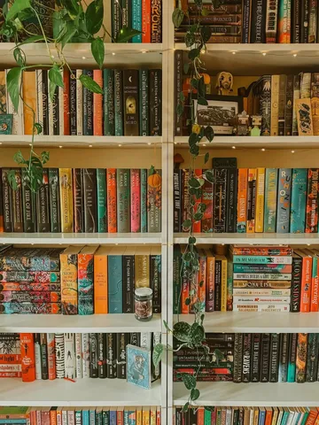 booksnest Instagram post about Romantasy debate