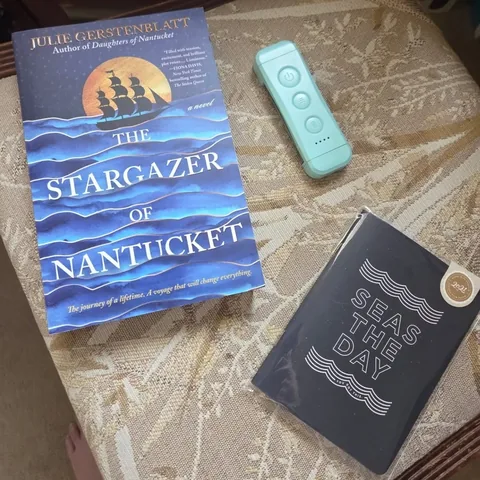 bookswritingandmore Instagram post about Historical fiction review
