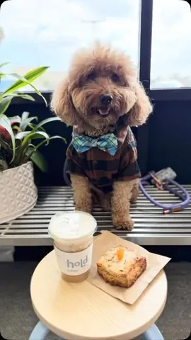 bowserkoopaha Instagram post about Coffee shop visit