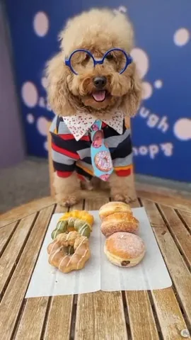 bowserkoopaha Instagram post about Donuts