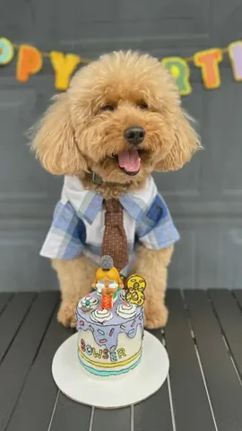 bowserkoopaha Instagram post about Dog birthday celebration