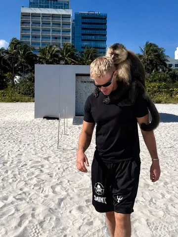 bradmondonyc Instagram post about Art and wildlife