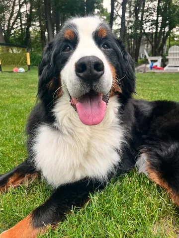 brandyandmoose Instagram post about Weekend greeting