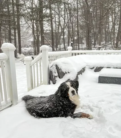 brandyandmoose Instagram post about Winter weather