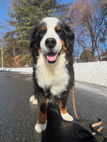 Brandy And Moose Instagram post thumbnail