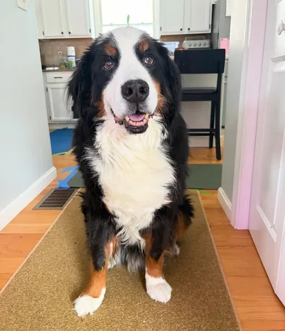 Brandy And Moose Instagram post thumbnail