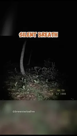 brewsterisalive Instagram post about Silent Breath game showcase