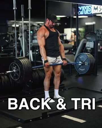 briandecosta Instagram post about Back and triceps workout