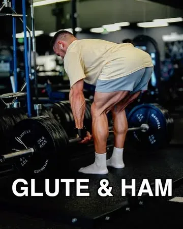 briandecosta Instagram post about Glute and hamstring development