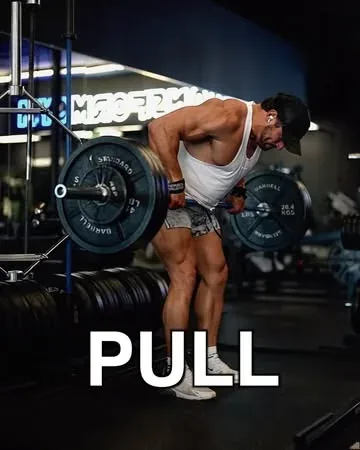 briandecosta Instagram post about Back and triceps workout