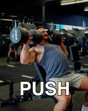 briandecosta Instagram post about Push and biceps workout