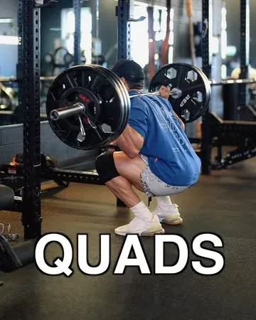 briandecosta Instagram post about Quad workout