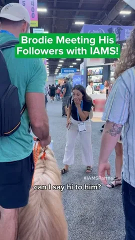 brodiethatdood Instagram post about Pet industry event