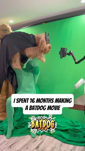 brodiethatdood Instagram post about Dog entertainment