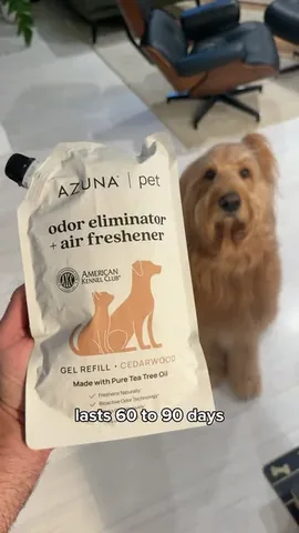 brodiethatdood Instagram post about Pet odor product