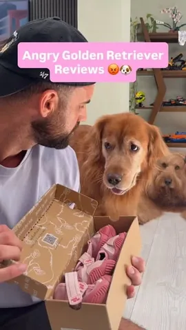 brodiethatdood Instagram post about Dog shoe review