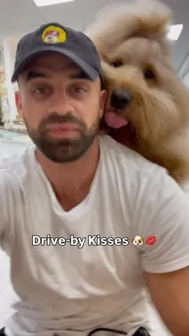 brodiethatdood Instagram post about Dog owner interaction