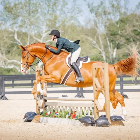 brussels.sprout Instagram post about Equestrian competition