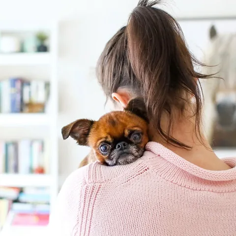 brussels.sprout Instagram post about Mother’s Day