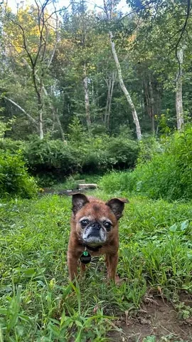 Sprout Instagram post thumbnail