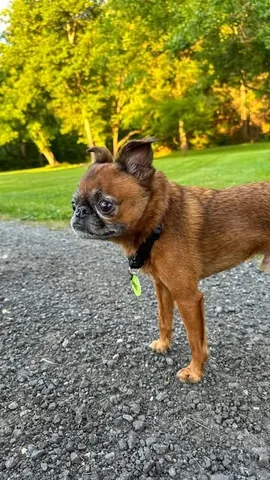 Sprout Instagram post thumbnail
