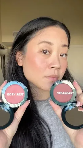 budgetbeautydiary Instagram post about Blush brand discovery